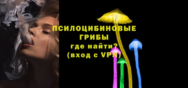 a pvp Богородицк