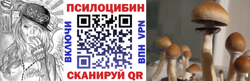 купить  цена  mega сайт  Галлюциногенные грибы Psilocybine cubensis  Нижний Новгород 